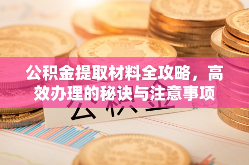 稻城公积金提取材料全攻略，高效办理的秘诀与注意事项