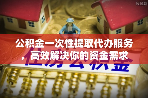 稻城公积金一次性提取代办服务，高效解决你的资金需求