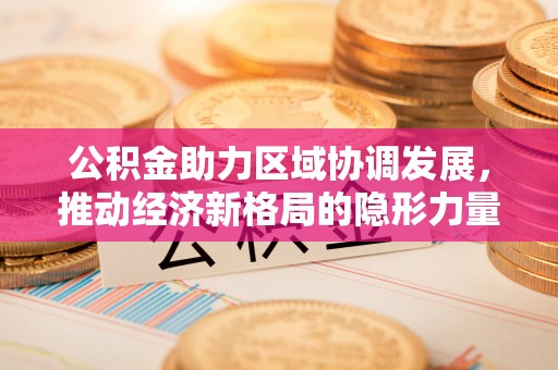 稻城公积金助力区域协调发展，推动经济新格局的隐形力量