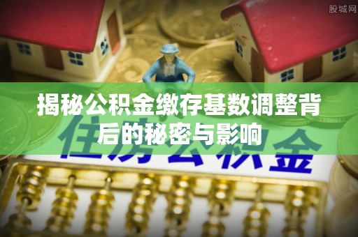 稻城揭秘公积金缴存基数调整背后的秘密与影响