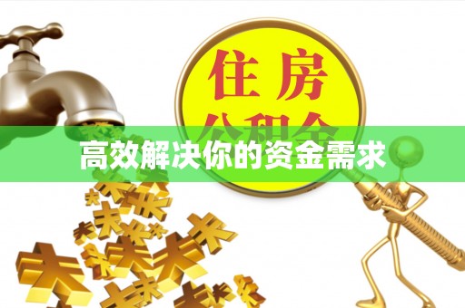 稻城高效解决你的资金需求