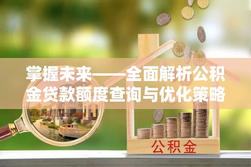 稻城掌握未来——全面解析公积金贷款额度查询与优化策略