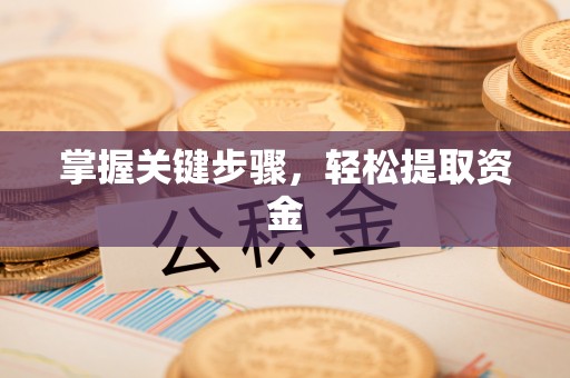 稻城掌握关键步骤，轻松提取资金