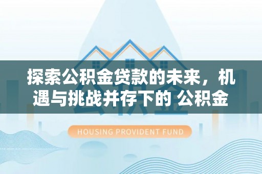 稻城探索公积金贷款的未来，机遇与挑战并存下的 公积金贷款风险防控