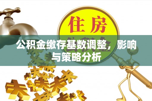 稻城公积金缴存基数调整，影响与策略分析