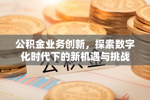 稻城公积金业务创新，探索数字化时代下的新机遇与挑战