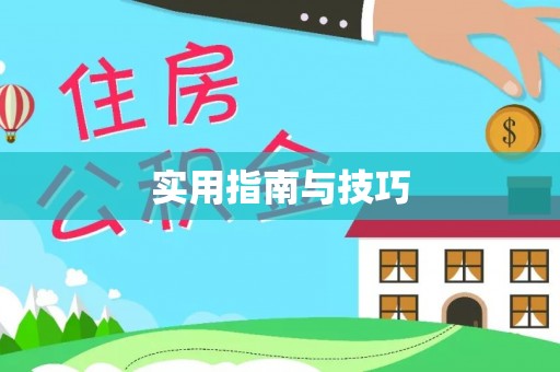 稻城实用指南与技巧