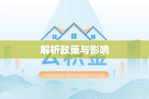稻城解析政策与影响