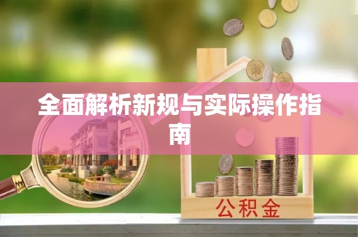 稻城全面解析新规与实际操作指南