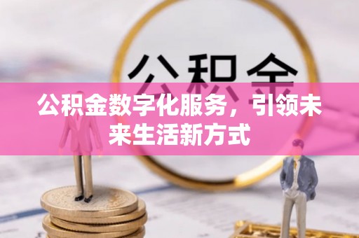 稻城公积金数字化服务，引领未来生活新方式