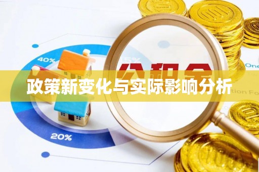 稻城政策新变化与实际影响分析