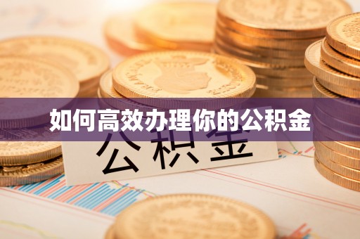 稻城如何高效办理你的公积金