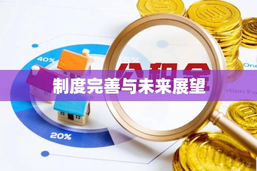 稻城制度完善与未来展望