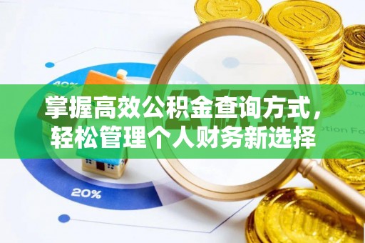 稻城掌握高效公积金查询方式，轻松管理个人财务新选择