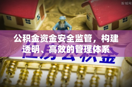 稻城公积金资金安全监管，构建透明、高效的管理体系