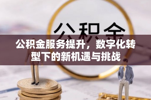 稻城公积金服务提升，数字化转型下的新机遇与挑战