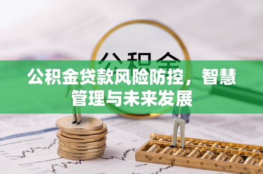 稻城公积金贷款风险防控，智慧管理与未来发展