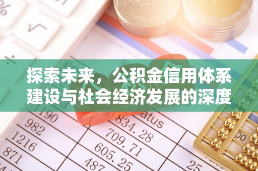 稻城探索未来，公积金信用体系建设与社会经济发展的深度融合