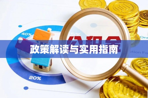稻城政策解读与实用指南