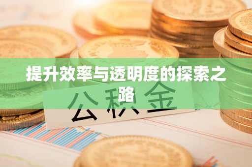 稻城提升效率与透明度的探索之路