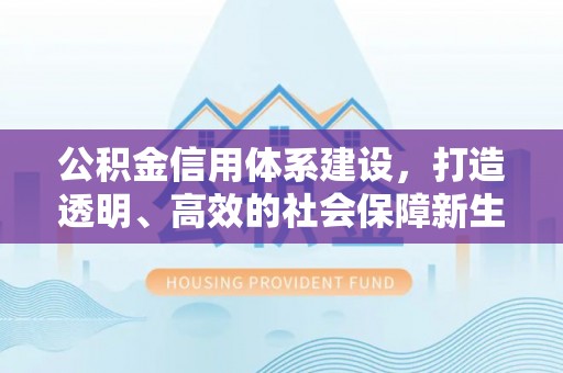 稻城公积金信用体系建设，打造透明、高效的社会保障新生态