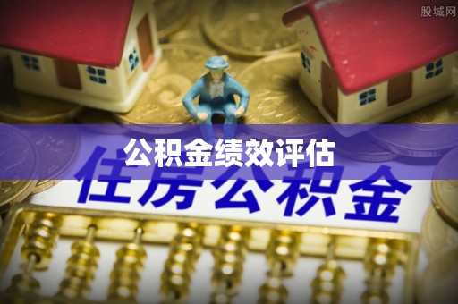 稻城公积金绩效评估