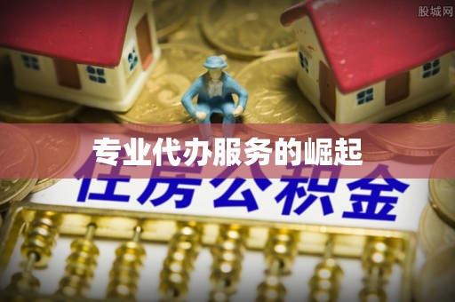 稻城专业代办服务的崛起