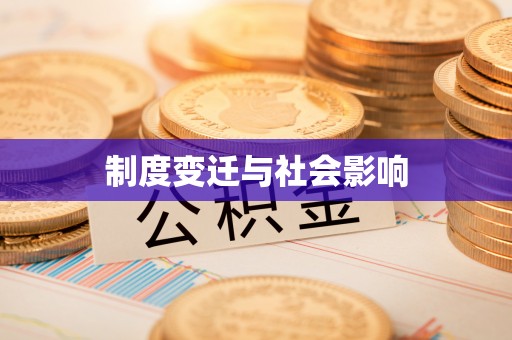 稻城制度变迁与社会影响