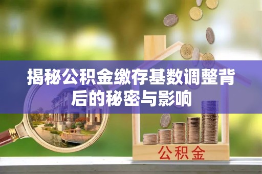 稻城揭秘公积金缴存基数调整背后的秘密与影响