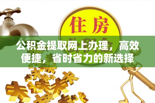 稻城公积金提取网上办理，高效便捷，省时省力的新选择