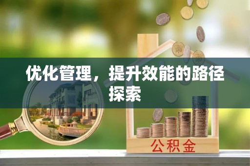 稻城优化管理，提升效能的路径探索
