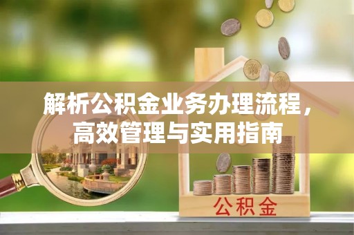 稻城解析公积金业务办理流程，高效管理与实用指南