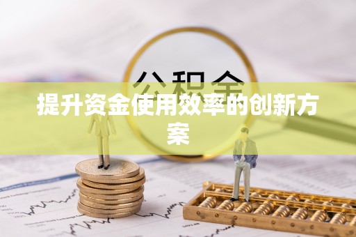 稻城提升资金使用效率的创新方案
