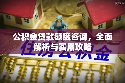 稻城公积金贷款额度咨询，全面解析与实用攻略