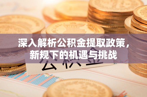 稻城深入解析公积金提取政策，新规下的机遇与挑战