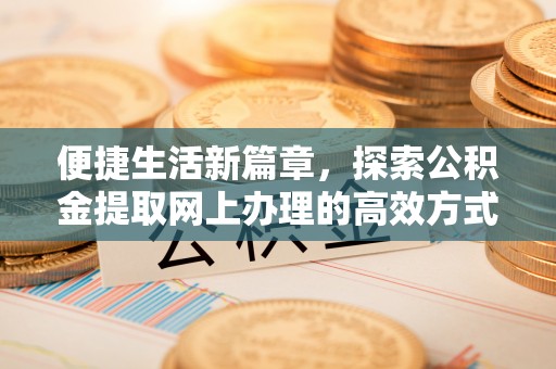 稻城便捷生活新篇章，探索公积金提取网上办理的高效方式