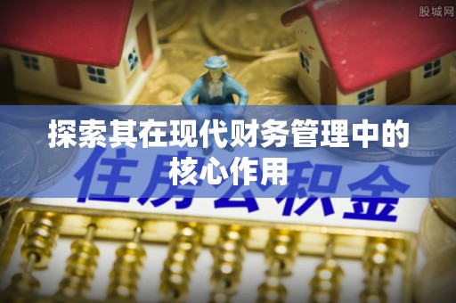 稻城探索其在现代财务管理中的核心作用