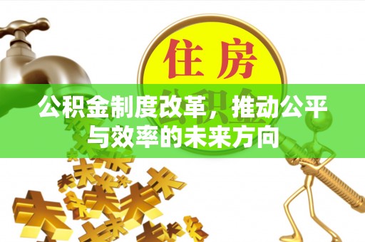 稻城公积金制度改革，推动公平与效率的未来方向