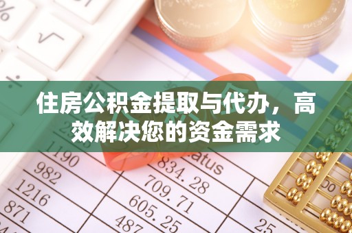 稻城住房公积金提取与代办，高效解决您的资金需求