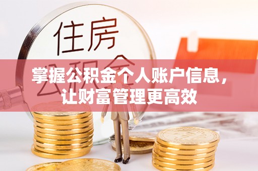 稻城掌握公积金个人账户信息，让财富管理更高效