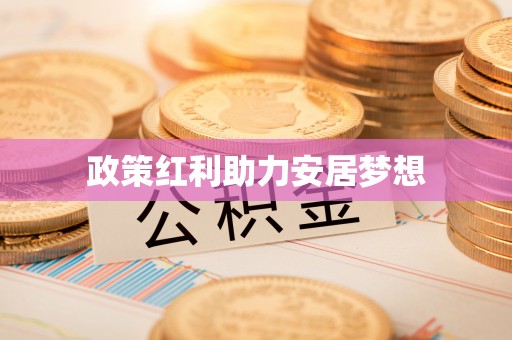 稻城政策红利助力安居梦想