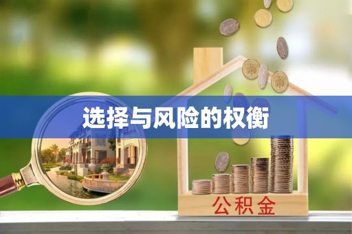 稻城选择与风险的权衡