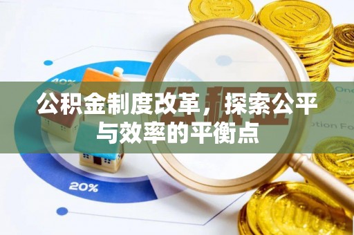 稻城公积金制度改革，探索公平与效率的平衡点