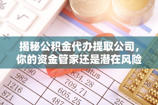 稻城揭秘公积金代办提取公司，你的资金管家还是潜在风险？