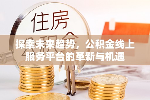 稻城探索未来趋势，公积金线上服务平台的革新与机遇