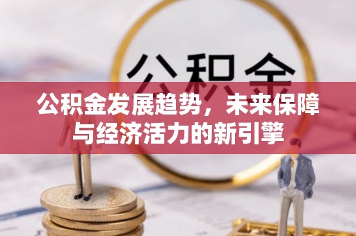 稻城公积金发展趋势，未来保障与经济活力的新引擎