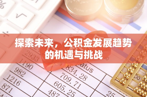 稻城探索未来，公积金发展趋势的机遇与挑战