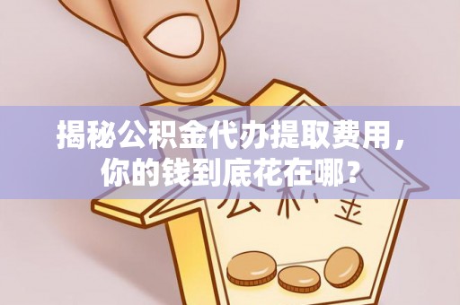 稻城揭秘公积金代办提取费用，你的钱到底花在哪？