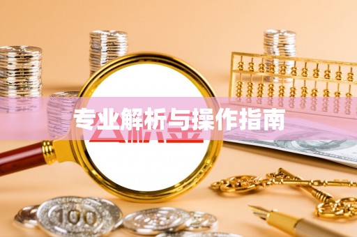 稻城专业解析与操作指南