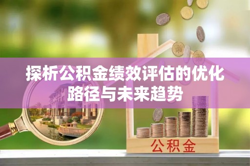 稻城探析公积金绩效评估的优化路径与未来趋势
